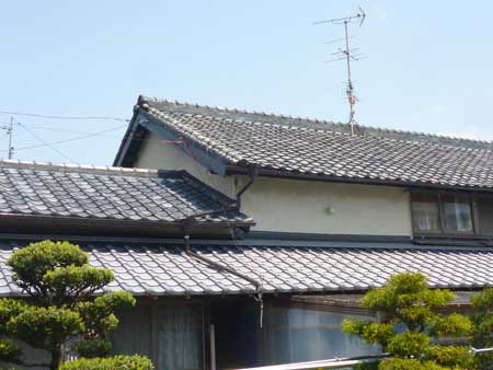 坪井町の屋根